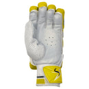 DS T/20 Limited Edition Batting Gloves Yellow DS Sports