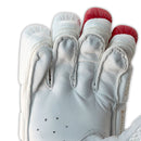 DS 1.1 L.E Batting Gloves White/Red DS Sports
