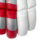DS 1.1 L.E Batting Gloves White/Red DS Sports