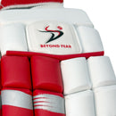 DS 1.1 L.E Batting Gloves White/Red DS Sports