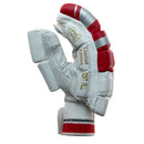 DS 1.1 L.E Batting Gloves White/Red DS Sports