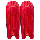 DS T/20 Cricket Batting Pads Red DS Sports