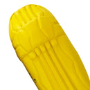 DS T/20 Cricket Batting Pads Yellow DS Sports