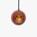 DSC Hanging Leather Ball DSC