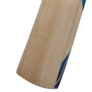 Dsc Blu 75 English Willow Cricket Bat DSC