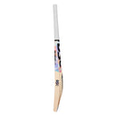 Dsc Condor Glider English Willow Cricket Bat
