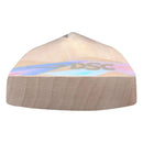 Dsc Condor Surge English Willow Cricket Bat