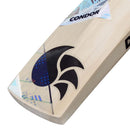 DSC Condor Atmos English Willow Bat DSC