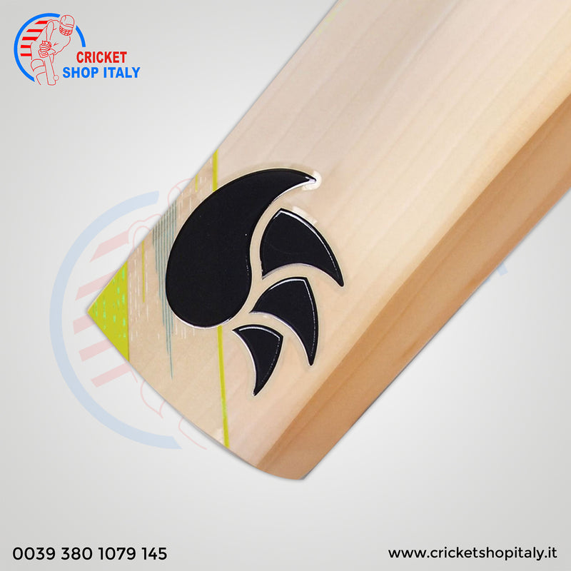 Dsc Condor Motion English Willow Cricket Bat