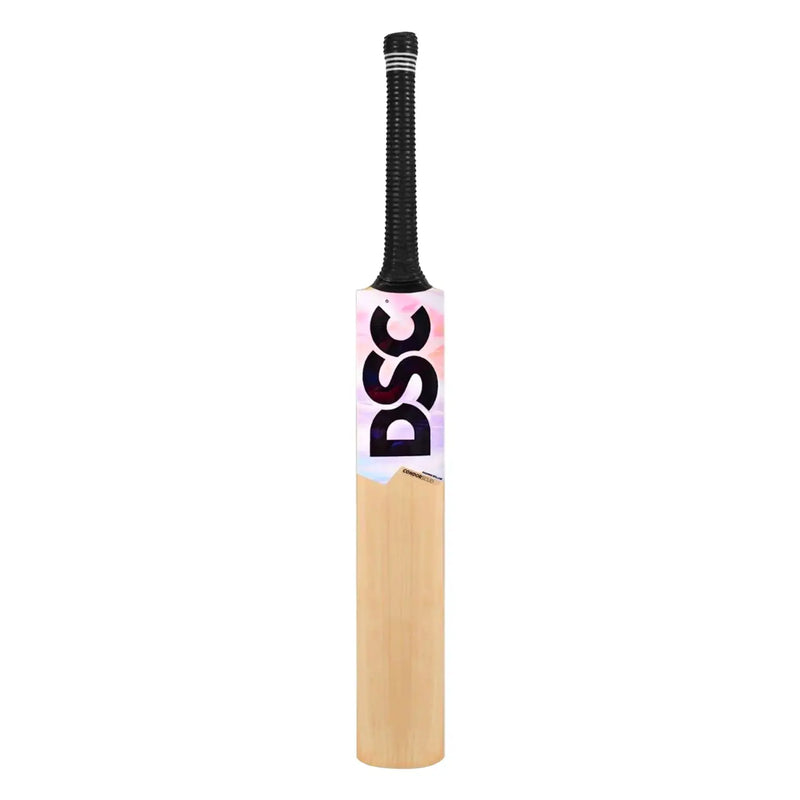 DSC Condor Scud Kashmir Willow Cricket Bat DSC