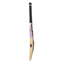 DSC Condor Scud Kashmir Willow Cricket Bat DSC