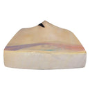 DSC Condor Scud Kashmir Willow Cricket Bat DSC