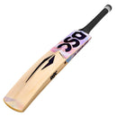 DSC Condor Scud Kashmir Willow Cricket Bat DSC
