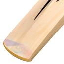 DSC Condor Scud Kashmir Willow Cricket Bat DSC