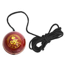 DSC Hanging Leather Cricket Ball DSC