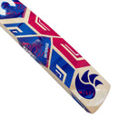 Dsc Intense 75 English Willow Cricket Bat DSC