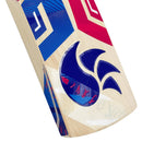 Dsc Intense 75 English Willow Cricket Bat DSC