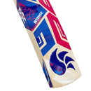 Dsc Intense 75 English Willow Cricket Bat DSC