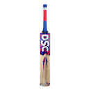 DSC Intense Zeal Kashmir Willow Bat DSC