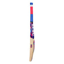 DSC Intense Zeal Kashmir Willow Bat DSC