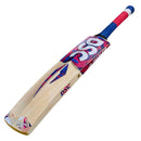 DSC Intense Zeal Kashmir Willow Bat DSC