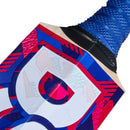 DSC Intense Zeal Kashmir Willow Bat DSC