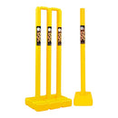 DSC Phoenix Cricket Set DSC