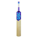 DSC Trizone Tennis Kashmir Willow Cricket Bat DSC