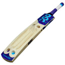 DSC Trizone Tennis Kashmir Willow Cricket Bat DSC