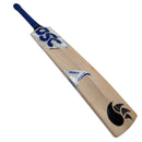 DSC Pearla Wonda English Willow Cricket Bat DSC