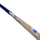 DSC Pearla Wonda English Willow Cricket Bat DSC