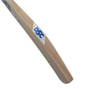 DSC Pearla Wonda English Willow Cricket Bat DSC