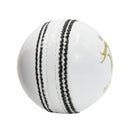 DS Cricket Ball-40 Over DS Sports