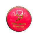 DS Cricket Ball Pink DS Sports