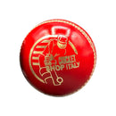 DS Cricket Ball Red DS Sports