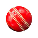 DS Cricket Ball Red DS Sports