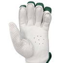 DS T/20 Limited Edition Batting Gloves Green DS Sports