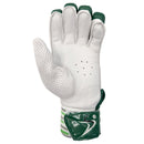 DS T/20 Limited Edition Batting Gloves Green DS Sports