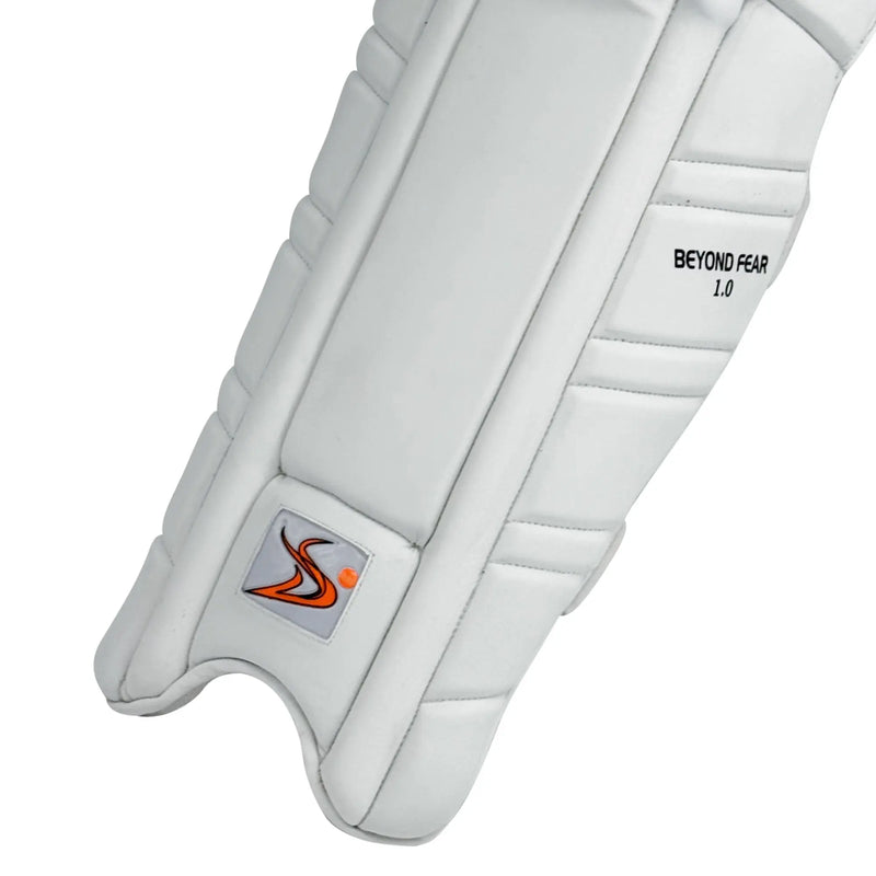 DS Cricket Batting Pads DS Sports