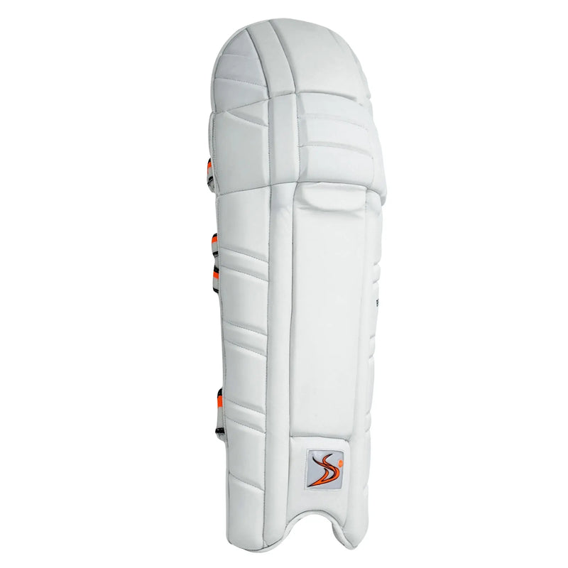 DS Cricket Batting Pads DS Sports