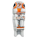 DS Cricket Batting Pads DS Sports