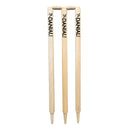 DS Wicket set With Bag DS Sports