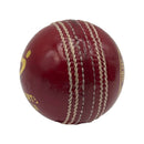 DS Womens Cricket Ball-40 Over DS Sports