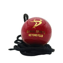 Ds Hanging Cricket Ball DS Sports