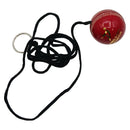 Ds Hanging Cricket Ball DS Sports