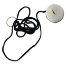 Ds Hanging Cricket Ball DS Sports