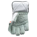 Ds Supreme Wicket Keeping Gloves - Cricket shop italy