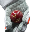 Ds Supreme Wicket Keeping Gloves - Cricket shop italy