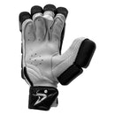 DS Black Cricket Pads & Gloves Set DS Sports