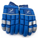 DS 1.0 Cricket Batting Set Blue DS Sports